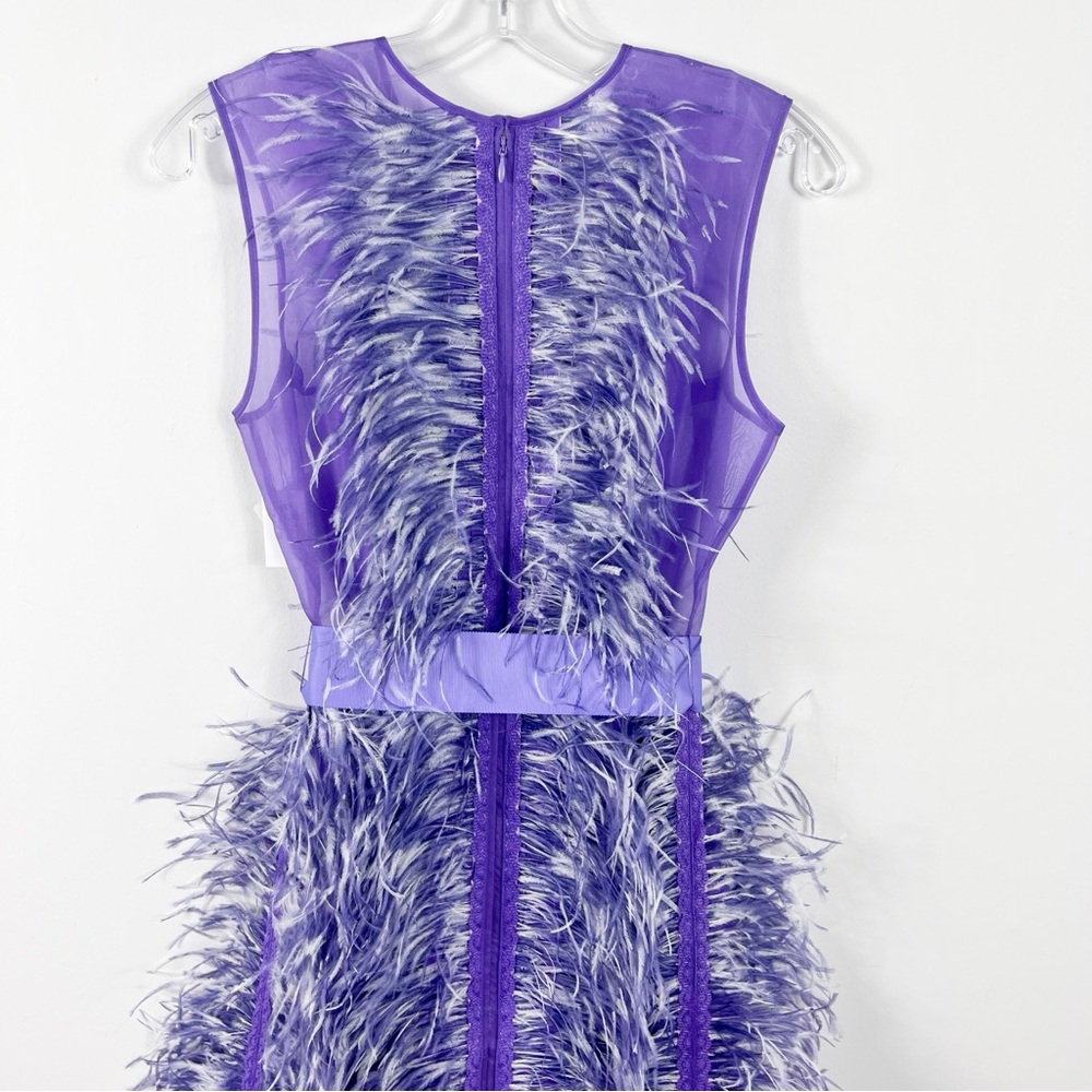 Huishan Zhang Beau Ostrich Feather Embellished Silk Organza Gown Size 6 NWT - Picture 7 of 10
